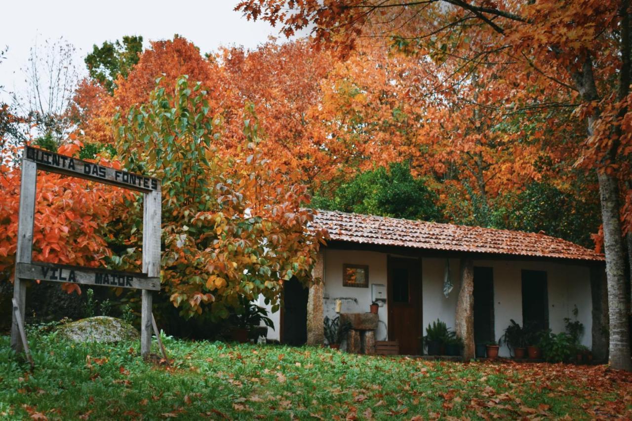 Quinta Das Fontes - Alojamento Rustico Local E Turismo Rural 圣佩罗多索 外观 照片