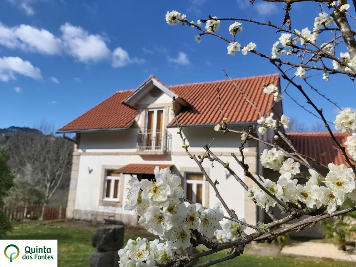 Quinta Das Fontes - Alojamento Rustico Local E Turismo Rural 圣佩罗多索 外观 照片