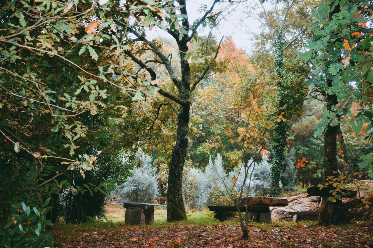 Quinta Das Fontes - Alojamento Rustico Local E Turismo Rural 圣佩罗多索 外观 照片