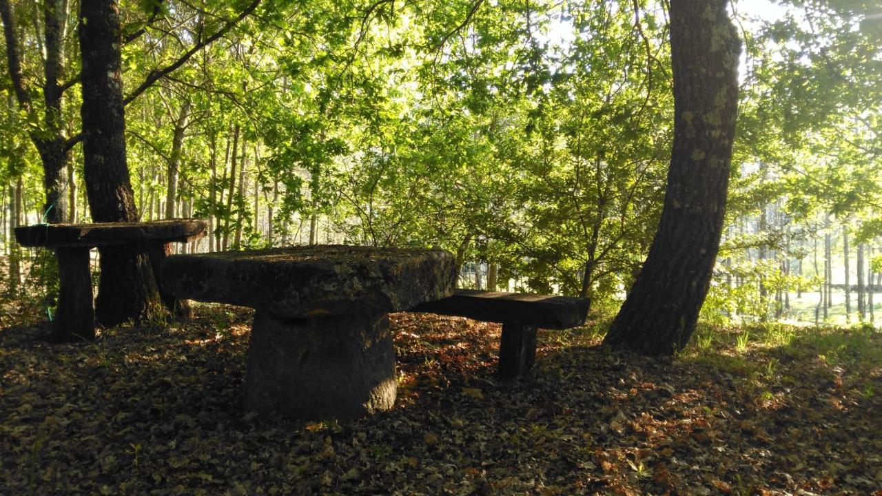 Quinta Das Fontes - Alojamento Rustico Local E Turismo Rural 圣佩罗多索 外观 照片