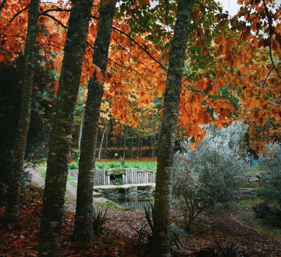 Quinta Das Fontes - Alojamento Rustico Local E Turismo Rural 圣佩罗多索 外观 照片