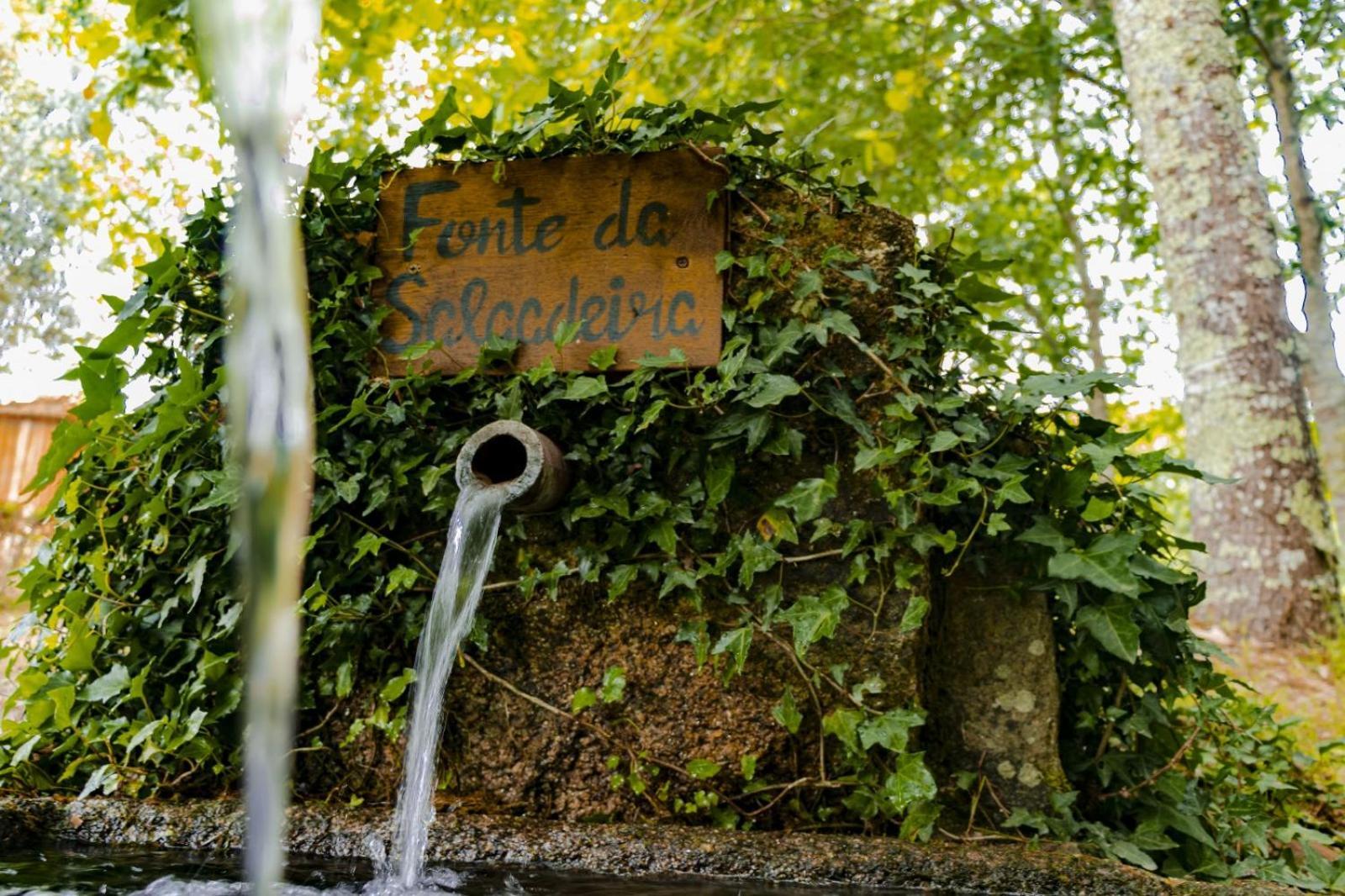 Quinta Das Fontes - Alojamento Rustico Local E Turismo Rural 圣佩罗多索 外观 照片