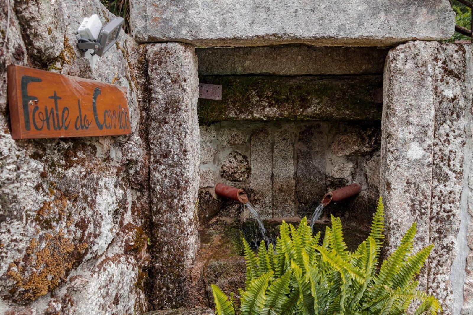 Quinta Das Fontes - Alojamento Rustico Local E Turismo Rural 圣佩罗多索 外观 照片