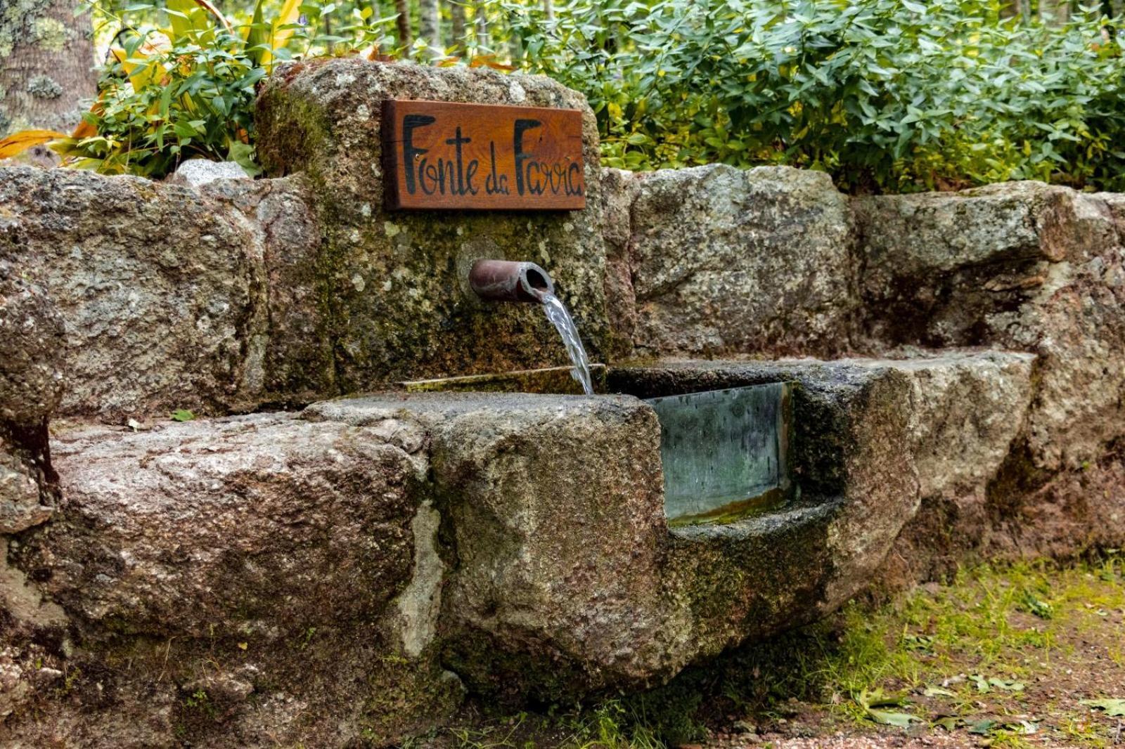 Quinta Das Fontes - Alojamento Rustico Local E Turismo Rural 圣佩罗多索 外观 照片